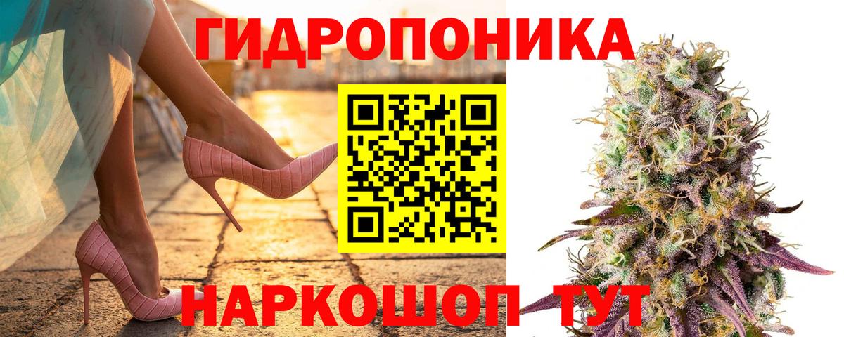 Каннабис индика Ефремов